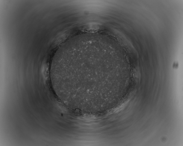 X0000102350818200808291159