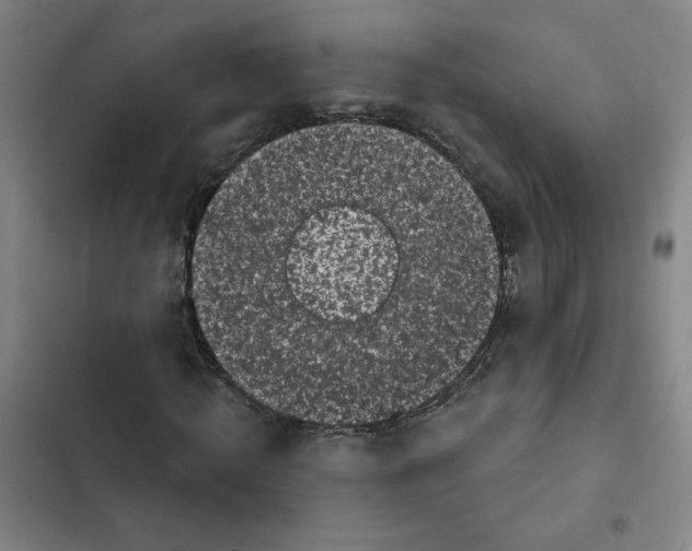 X0000102350820200808291159