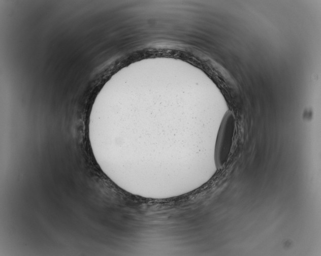 X0000102350821200808291159