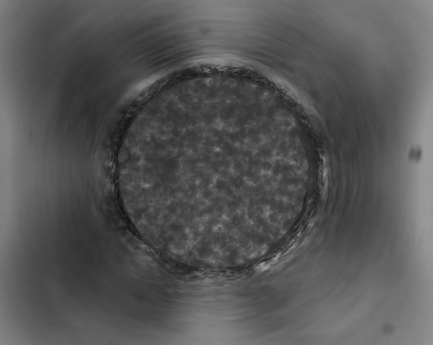 X0000102350822200808291159