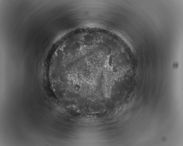 X0000102350823200808291159
