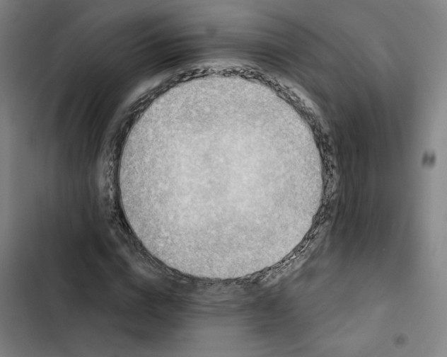 X0000102350824200808291159