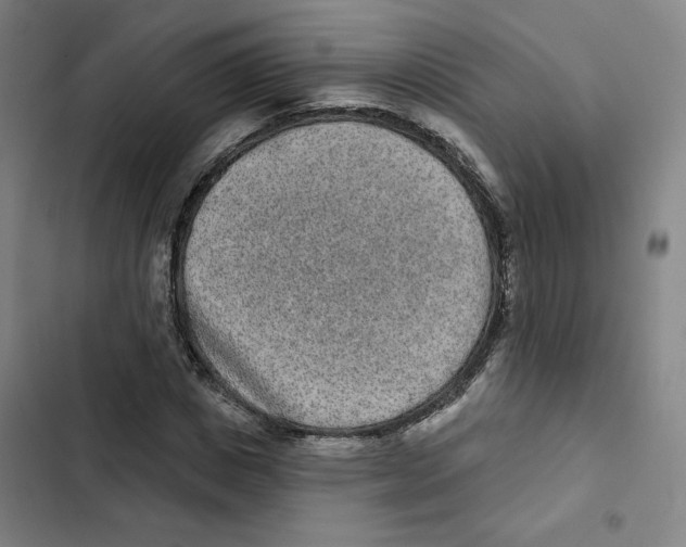 X0000102350825200808291159