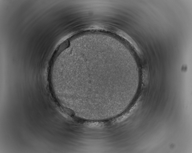 X0000102350826200808291159