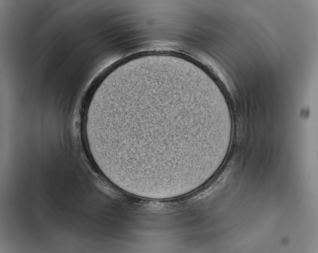 X0000102350827200808291159