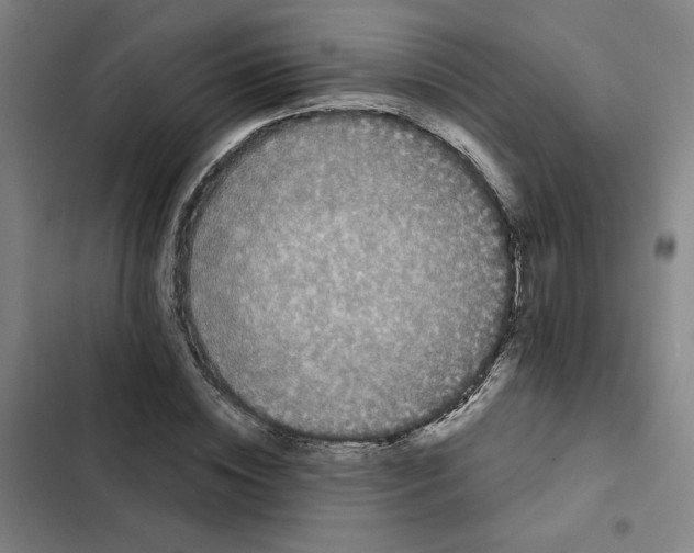 X0000102350828200808291159