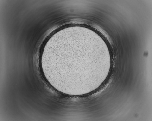X0000102350829200808291159
