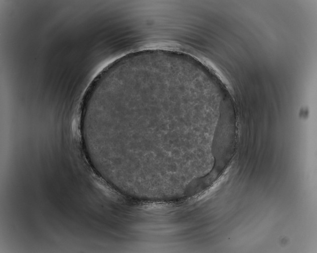 X0000102350830200808291159