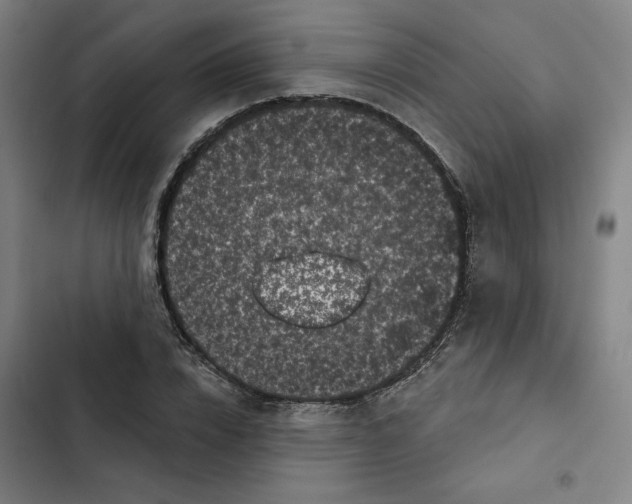 X0000102350832200808291159