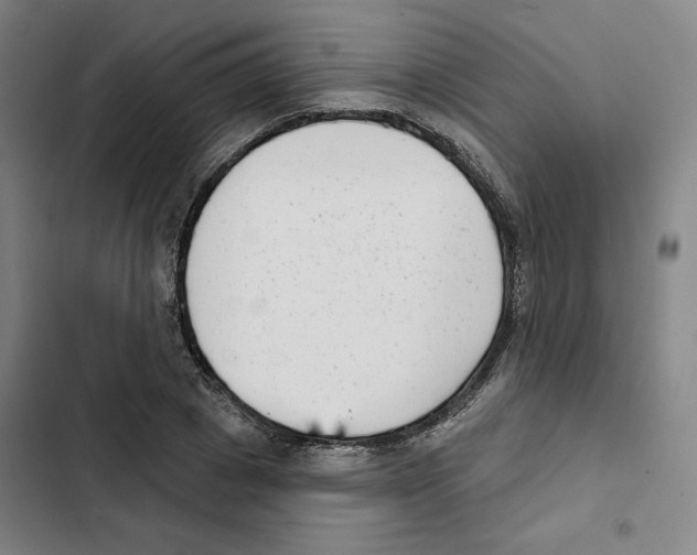 X0000102350833200808291159
