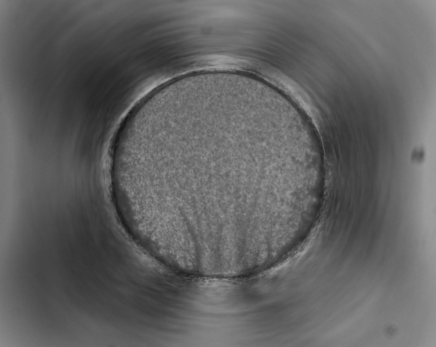 X0000102350835200808291159