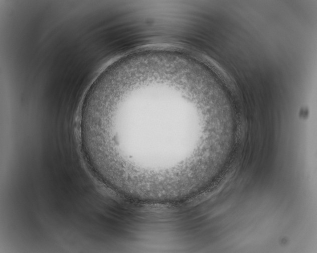 X0000102350836200808291159