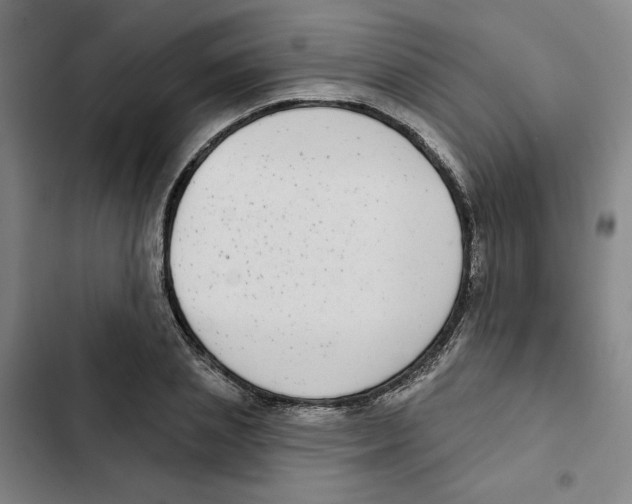 X0000102350837200808291159