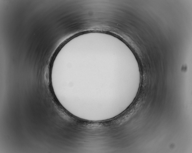 X0000102350838200808291159