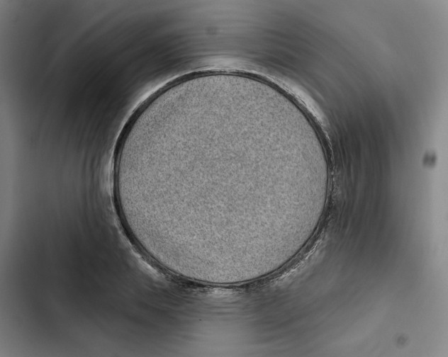 X0000102350839200808291159