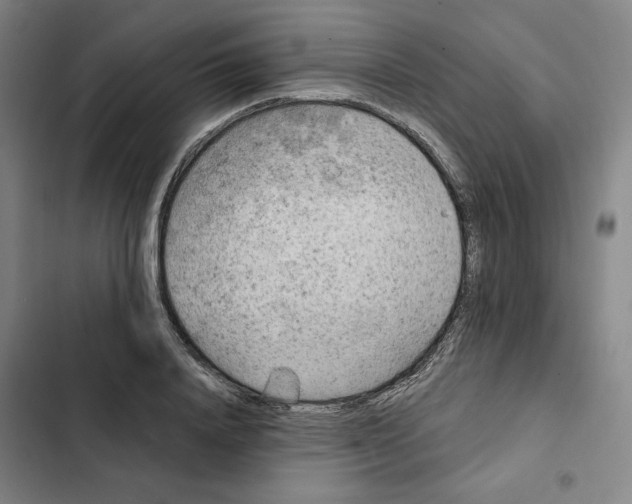 X0000102350840200808291159