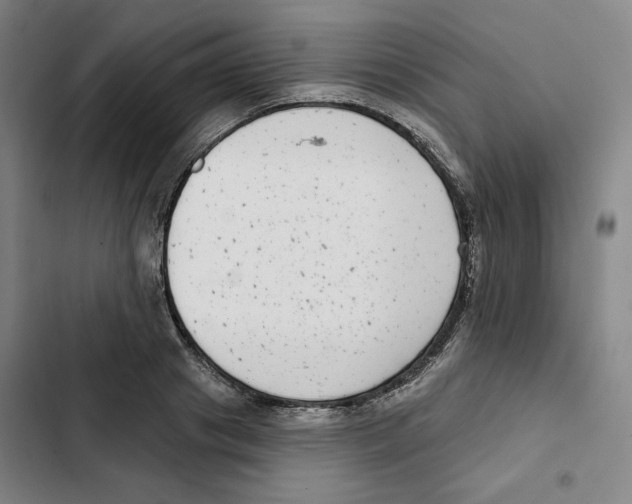X0000102350841200808291159