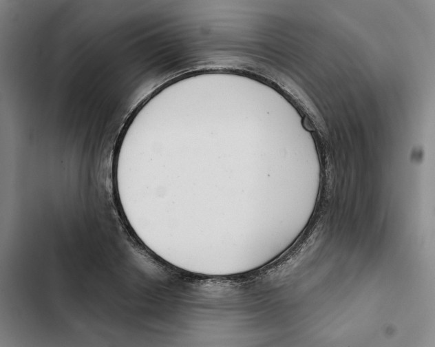 X0000102350842200808291159