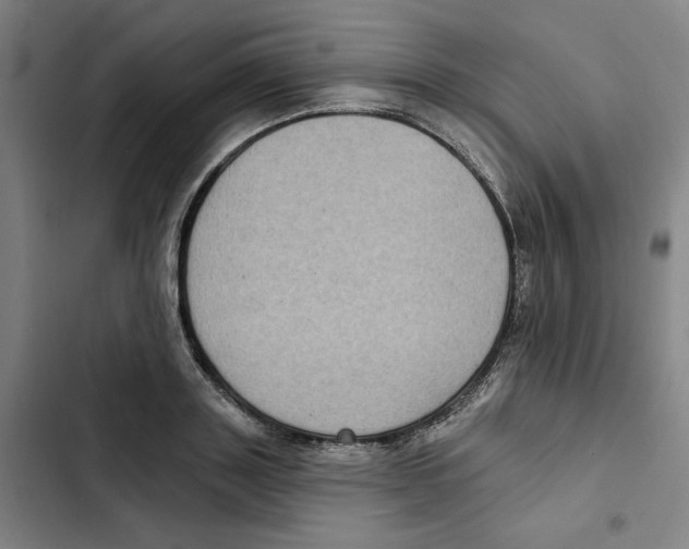 X0000102350843200808291159