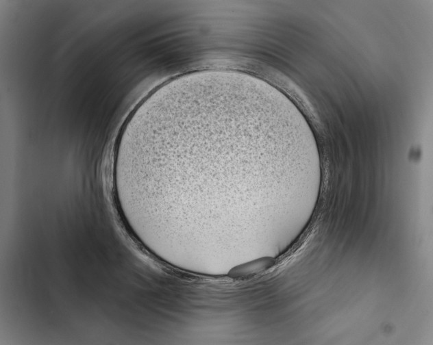 X0000102350844200808291159