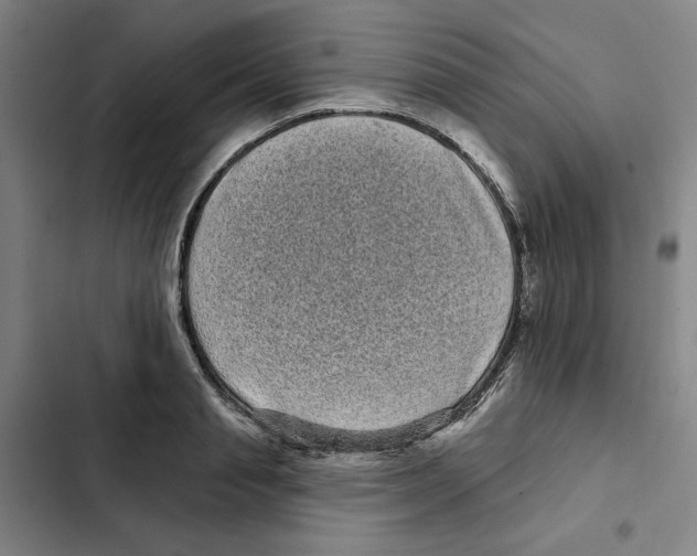 X0000102350845200808291159