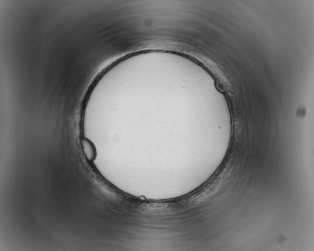 X0000102350846200808291159