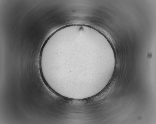 X0000102350847200808291159