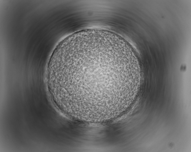 X0000102350848200808291159