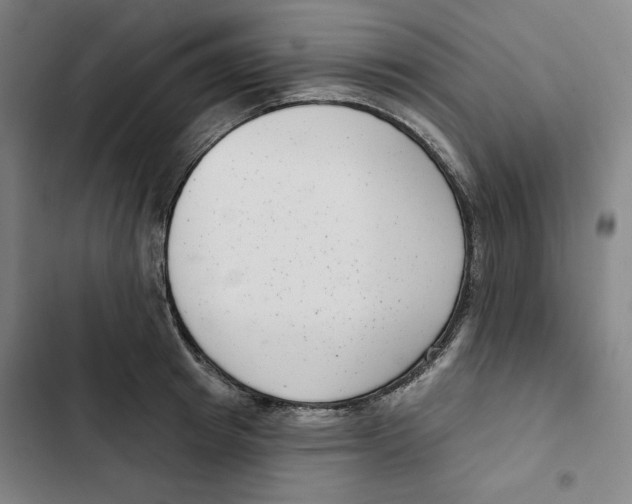 X0000102350849200808291159