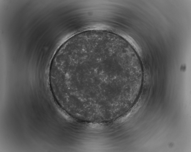 X0000102350850200808291159