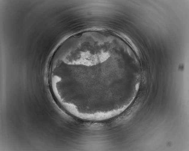 X0000102350851200808291159