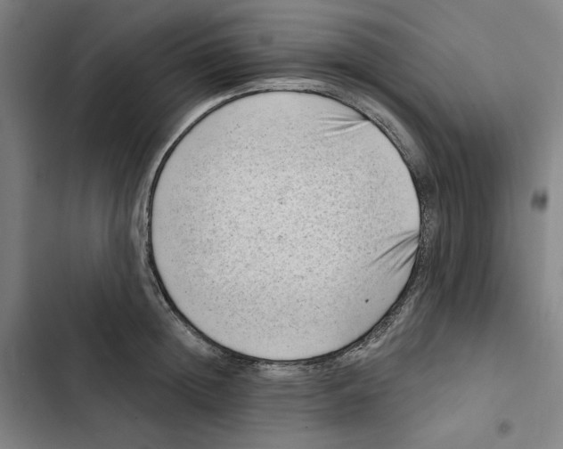 X0000102350852200808291159