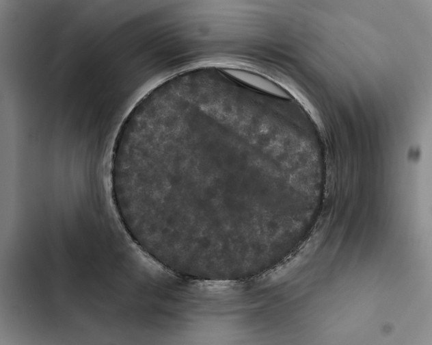 X0000102350853200808291159
