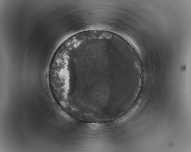 X0000102350854200808291159