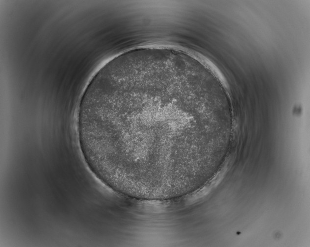 X0000102350855200808291159