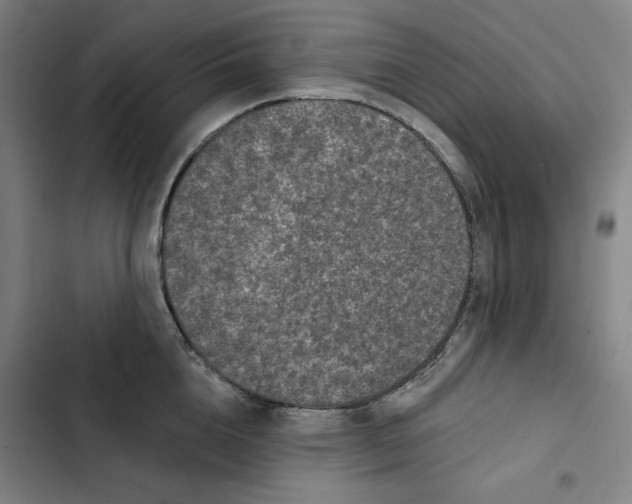 X0000102350856200808291159