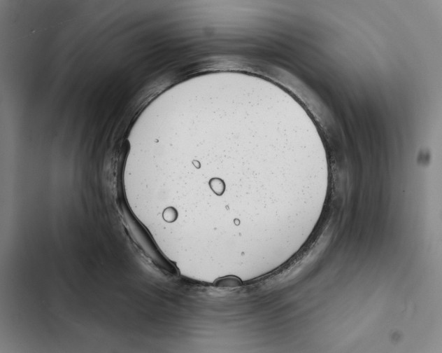 X0000102350857200808291159