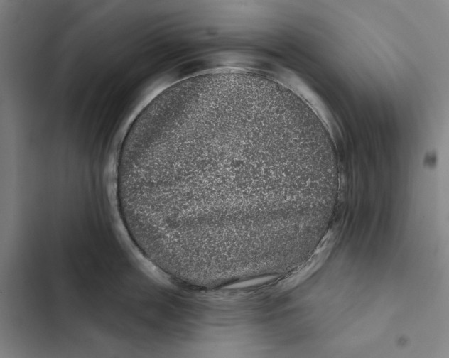 X0000102350859200808291159