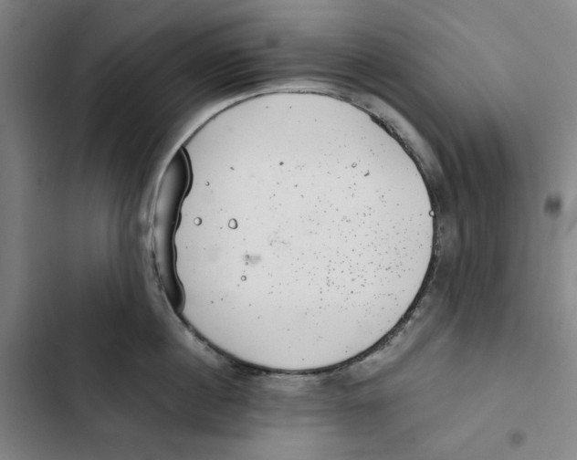 X0000102350860200808291159