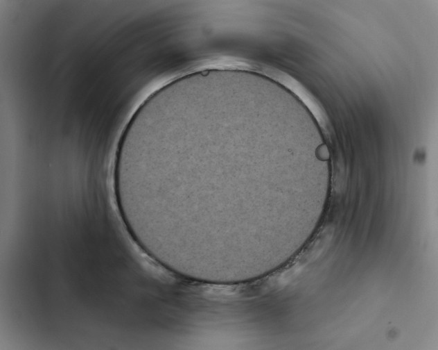 X0000102350861200808291159