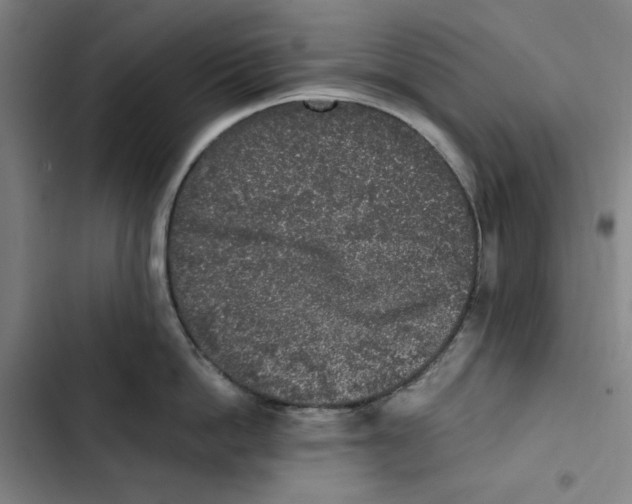 X0000102350862200808291159