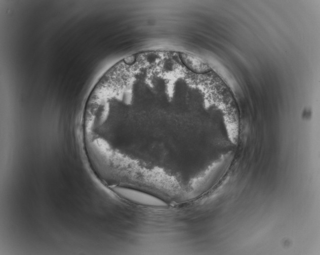 X0000102350863200808291159