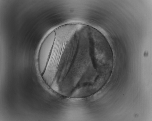 X0000102350864200808291159