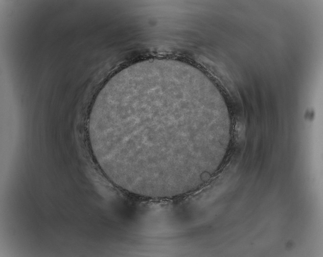 X0000102350865200808291159