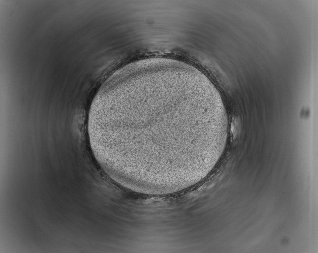 X0000102350867200808291159