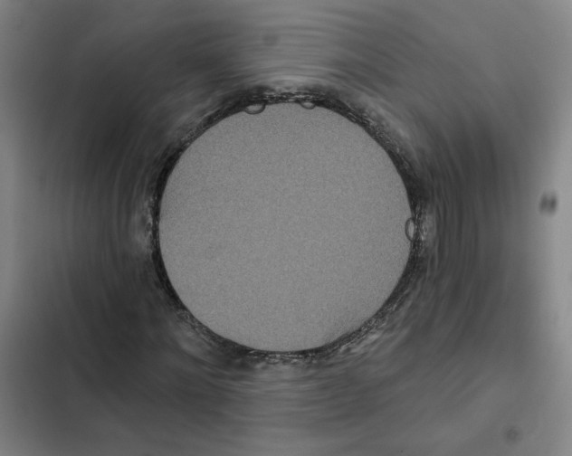 X0000102350868200808291159