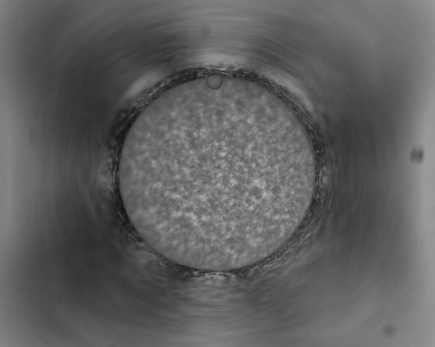 X0000102350869200808291159