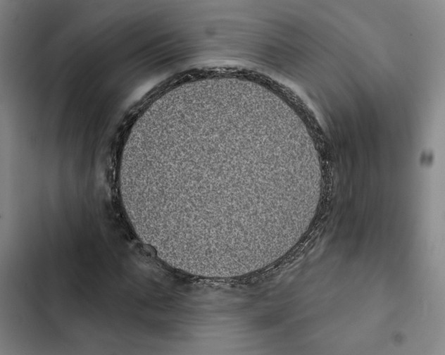 X0000102350871200808291158