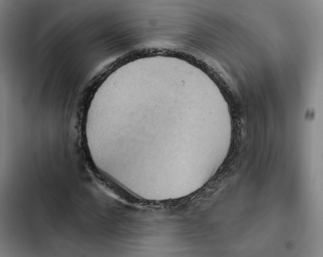 X0000102350872200808291158