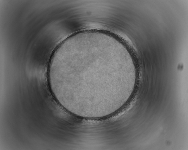 X0000102350873200808291158